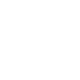 Last-Mile Delivery Icon